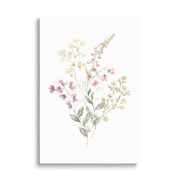 WILD FLOWER 4